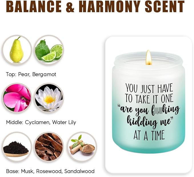 LEADO Candles, Boss Lady, Coworker Gifts for Women, Men - Cool Ideas, Funny Mothers Day Gifts for Coworkers, Best Friend, Mom, Employee - Sarcastic, Work, Birthday Ideas for Boss, Female, Male, Woman