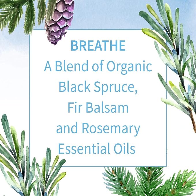Garden of Life Essential Oil Breathe Blend – 100% Pure Rosemary, Black Spruce & Fir Balsam Essential Oil for Diffuser, Home, Skin & Body Care, Clarifying and Focusing, USDA Organic, Non-GMO, 0.5 fl oz