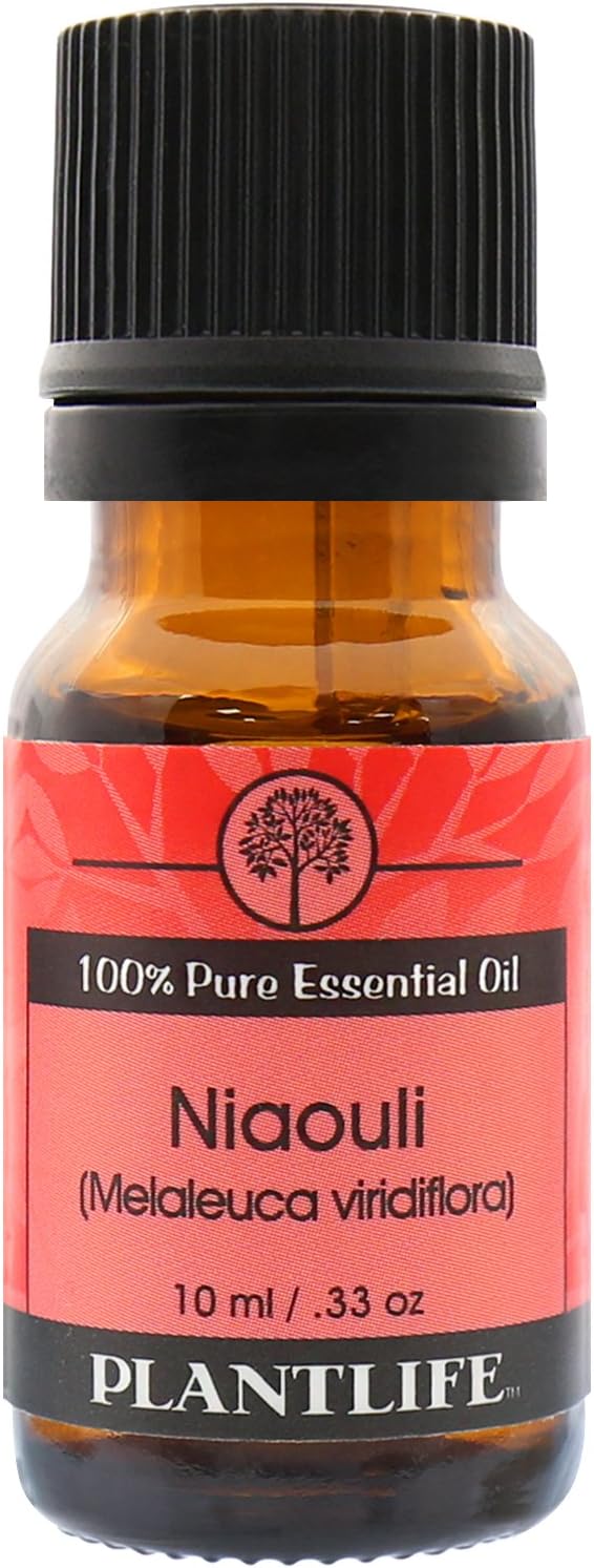 Plantlife Niaouli Aromatherapy Essential Oil - Straight from The Plant 100% Pure Therapeutic Grade - No Additives or Fillers - 10 ml