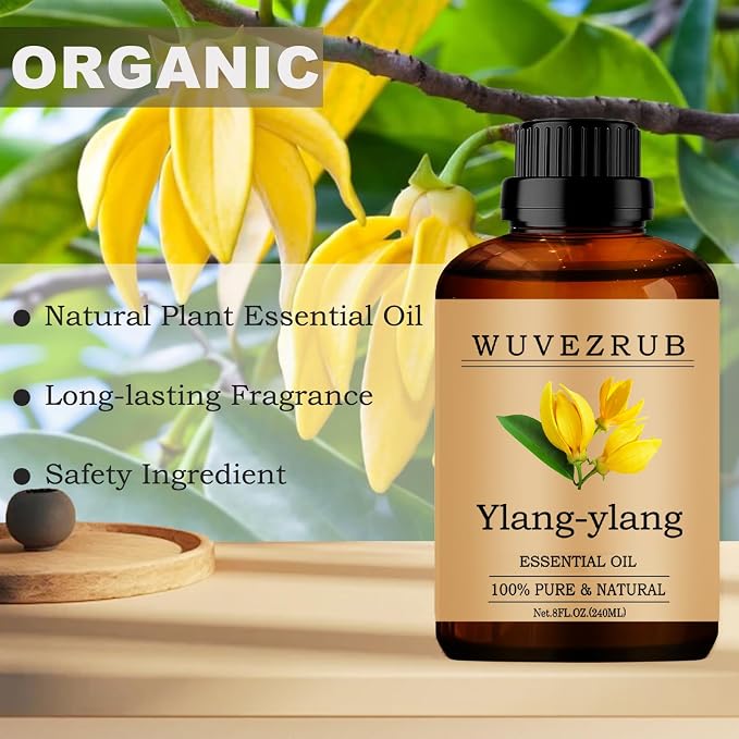 Ylang-Ylang Essential Oil 240ML, 100% Pure and Natural, Aromatherapy Diffuser - 8 Fl Oz