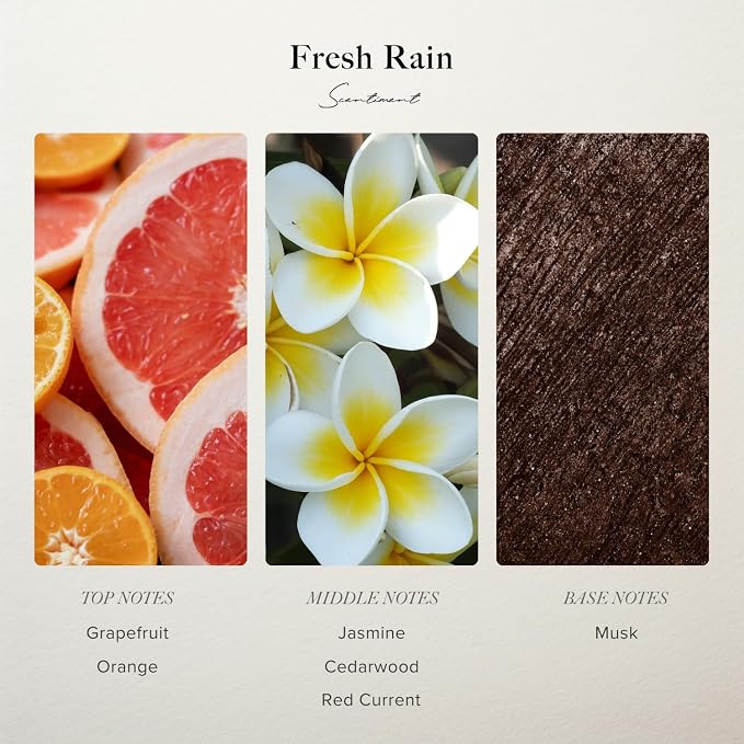 Scentiment Fresh Rain Diffuser Oil - Premium Hotel Scent with Notes of Jasmine, Grapefruit and Red Currant Home Scent, Hotel Fragrance Oil Diffuser Refill - 0.68 fl oz (20 mL)