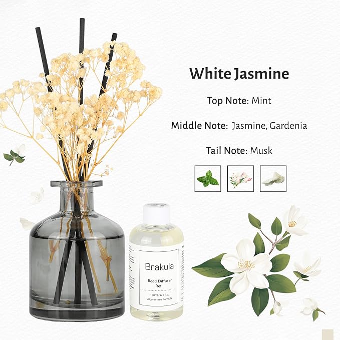 Brakula Reed Diffuser Set, 6.09 fl oz (180 ml)- White Jasmine with 8 Reed Sticks, Home Fragrance Reed Diffuser for Bathroom Shelf Decor