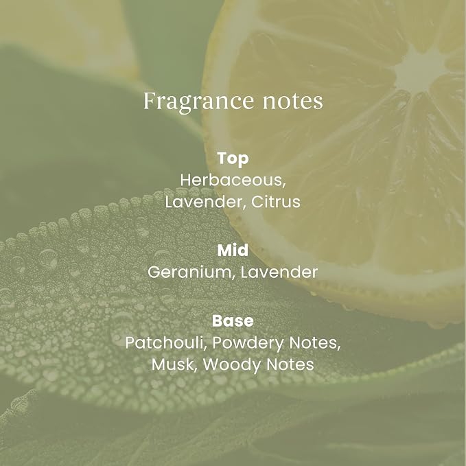 Yankee Candle Reed Diffuser Refill | Sage & Citrus | for Small to Medium Spaces | Up to 10 Weeks of Fragrance