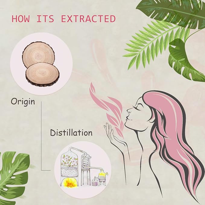 Hinoki Essential Oil - 100% Pure Organic Natural Plant (Chamaecyparis obtusa) Hinoki Oil for Diffuser, Aroma, Spa, Massage, Yoga, Perfume, 0.33oz
