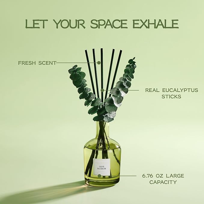 COCORRÍNA Olive Blossom Reed Diffuser – 6.76 oz Essential Oil with 8 Reeds & Real Eucalyptus Sticks, Home Fragrance for Bedroom or Bathroom Décor