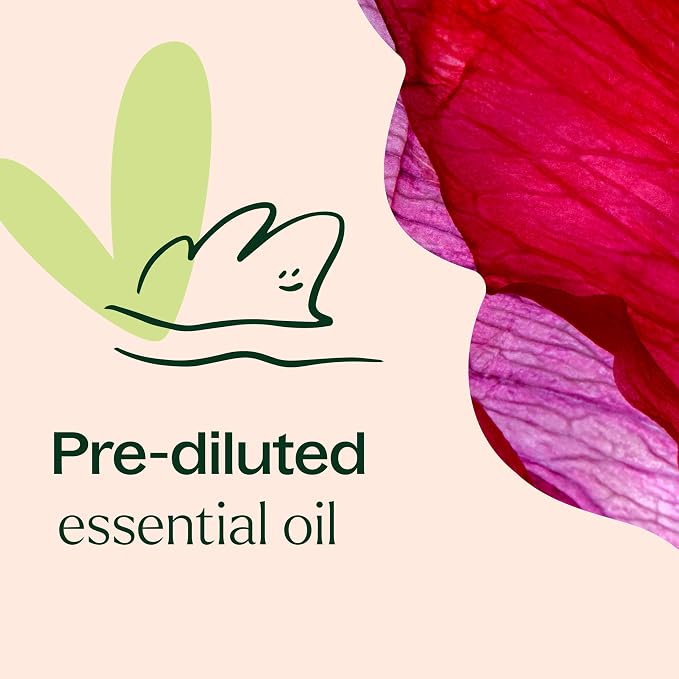Plant Therapy Rose Absolute Pre-Diluted Essential Oil Perfume Roll-On 10 mL (1/3 oz) 100% Pure, Natural Aromatherapy, Therapeutic Grade