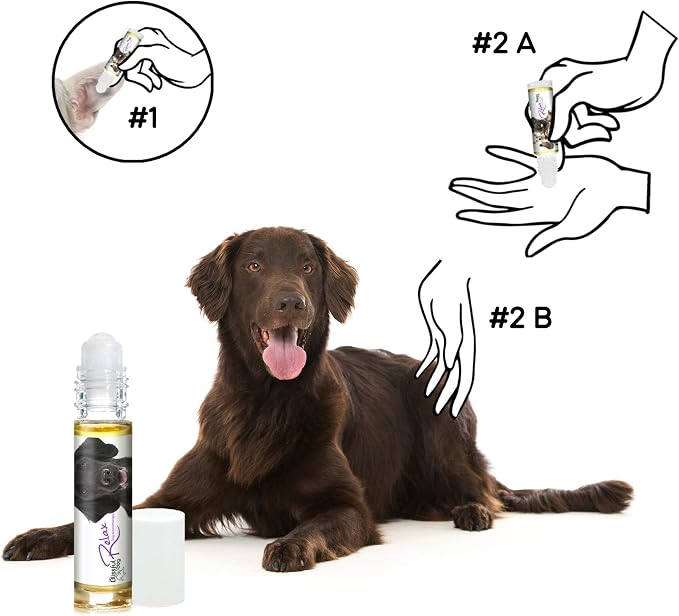 The Blissful Dog Flat-Coat Retriever Relax Roll-ON Aromatherapy for Dogs - Anxiety Relief for Dogs