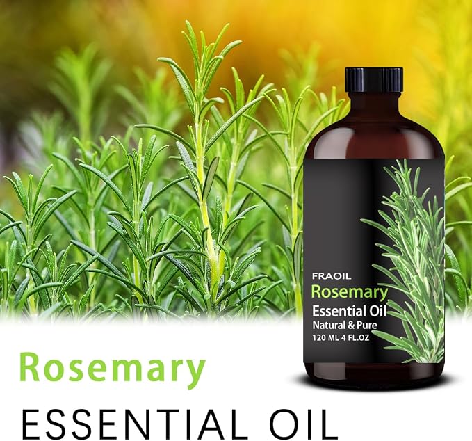 Rosemary Essential Oil, Rosemary Oil 4 Fl Oz 120ML for Diffuser Humidifier Yoga Cleaning DIY Candle Soap Making Perfume Gift Essential Oils FRAOIL (Rosemary 4 Fl Oz (Pack of 1))