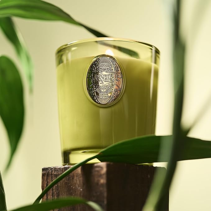 M&SENSE Natural Soy Candle | Seattle Rainforest & Matcha Green | 9.2 oz, 50H Burn Time | Luxury Scented Candle for Relaxation, Gifting, Home Décor | Ideal for Bedroom, Office, Party Ambiance