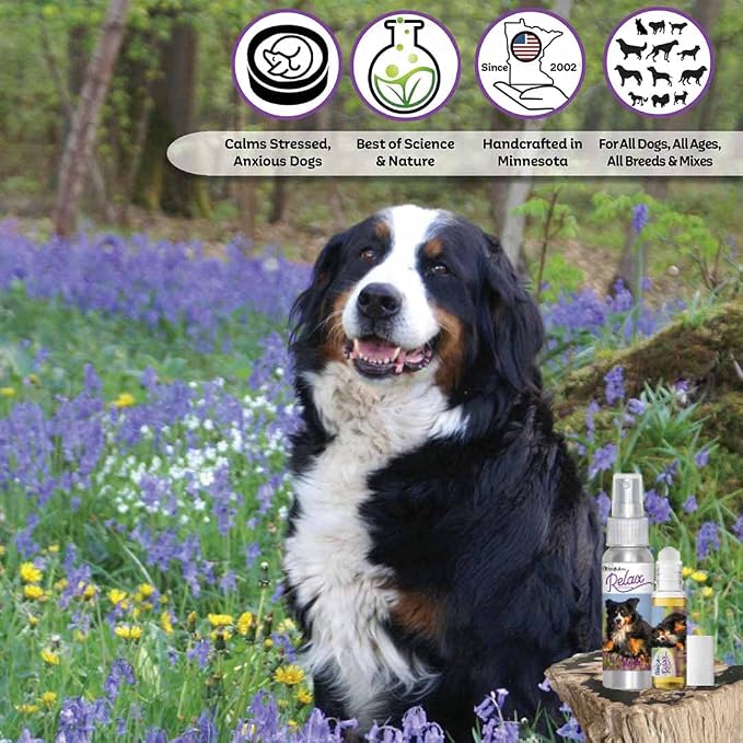 The Blissful Dog Bernese Mountain Dog Relax Dog Aromatherapy Spray for Anxiety