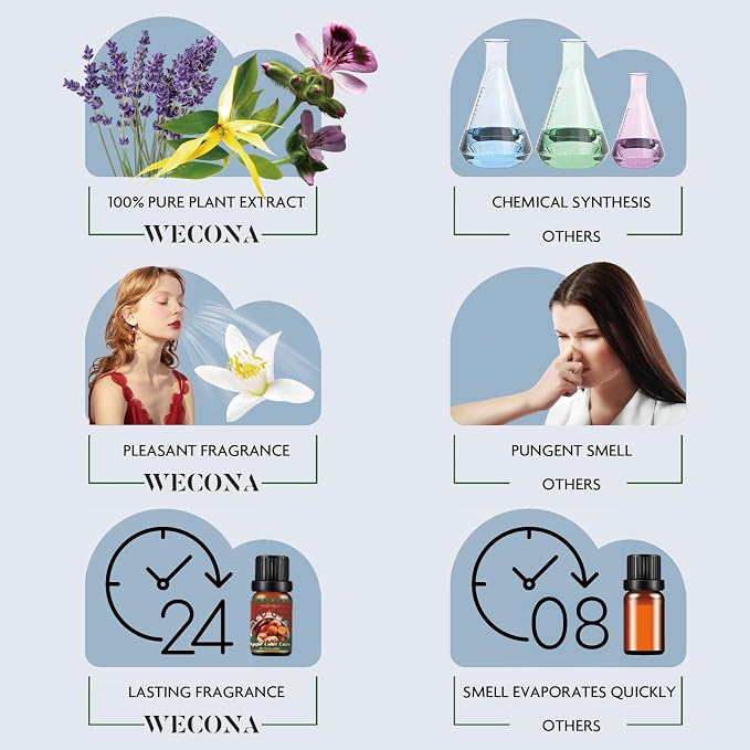 Christmas Essential Oils for Diffuser - Holiday Essential Oils Gift Set, 6 x 10ml Christmas Scents Including Gingerbread, Candy Cane, Apple Cider and More - Winter Diffuser Oils for Home