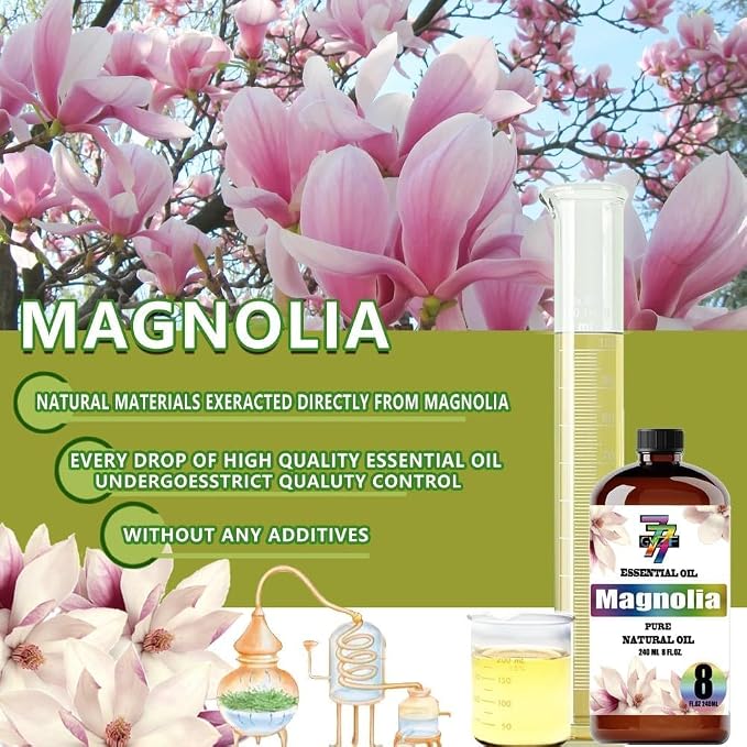 Magnolia Essential Oil, Magnolia Oils, for Diffuser, DIY Candles, Soap, Humidifier, Living Room, Gift, Essential Oil, GV77ZF Magnolia Fragrance Oil - 8 fl oz (240 ml)