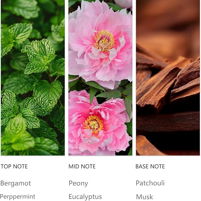 Eucalyptus Essential Oils 500ML Mint Revive Diffuser Scent Oil Purifying Bergamot & Patchouli for Waterless Diffusers, Spa-Grade Breathe Easy Aromatherapy for Home and Welness