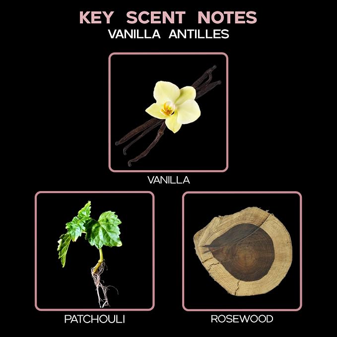 Reed Diffuser Set, Vanilla Antilles Scented Oil Diffuser with Sticks, Home Fragrance Accessories for Bathroom Shelf Decor, Aroma Diffusers for Home or Office Fall Decor, USA Made