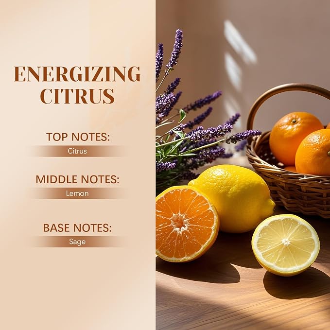 HANOLLY Car Air Freshener Hanging 2 Pack – Energizing Citrus Car Freshener Diffuser, Fall Car Air Freshener for Women and Men, Lasting up to 45 Days.0.27 FL OZ/8ML