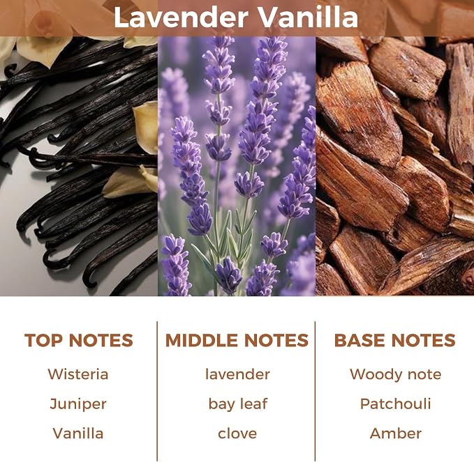 Reed Diffuser Set,100ml(3.38oz) Lavender Vanilla Essential Oil Diffuser with 6 Sticks,Home Fragrance for Bedroom,Living Room,Bathroom,Perfect Home Decor Gift