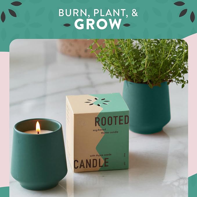 Modern Sprout Soy Candle Planter - Grows Thyme - Tonka Bean Scent - 2-Pack | 2 in 1 Soy Candle - 6 oz w/42-hr burn each - tonka bean scent - ceramic vessel reuses as a planter for non-GMO thyme seeds