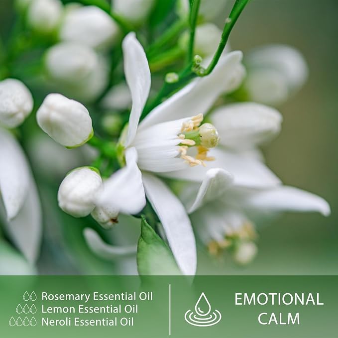 Neroli 1.01fl.oz Essential Oil, PHATOIL Pure Aromatherapy Oils for Diffuser, Humidifier, Perfect for DIY Soap, Candle, Bath Bombs Making(30ml)