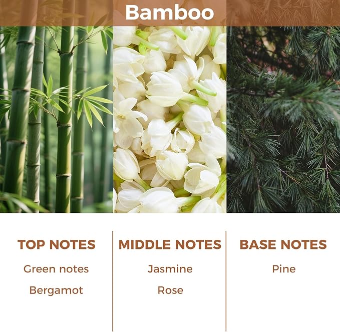 Bamboo Reed Diffuser Set,100ml Scented Oil Diffuser with 6 Reed Sticks,Long-Lasting Home & Office Fragrance for Living Room,Bedroom