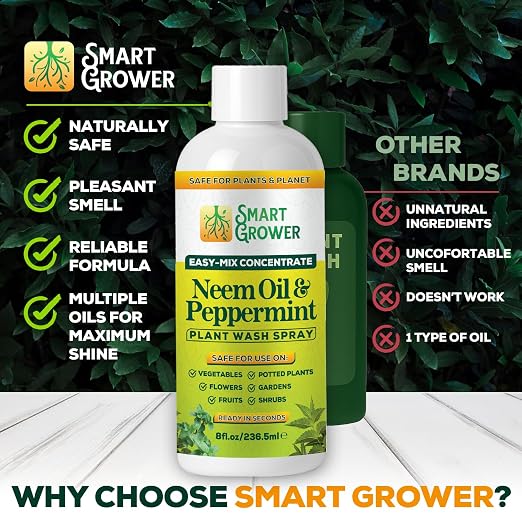 Neem Oil Spray for Plants with Peppermint Oil – for Indoor & Outdoor Plants, Gardens, & Houseplants– Best Value Refill 8 oz Concentrate Makes 1 Gallon RTU