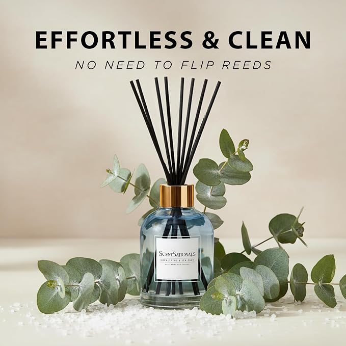 ScentSationals Water-Based Reed Diffuser - Eucalyptus & Sea Salt - 5 FL OZ Aromatherapy Reed Diffuser