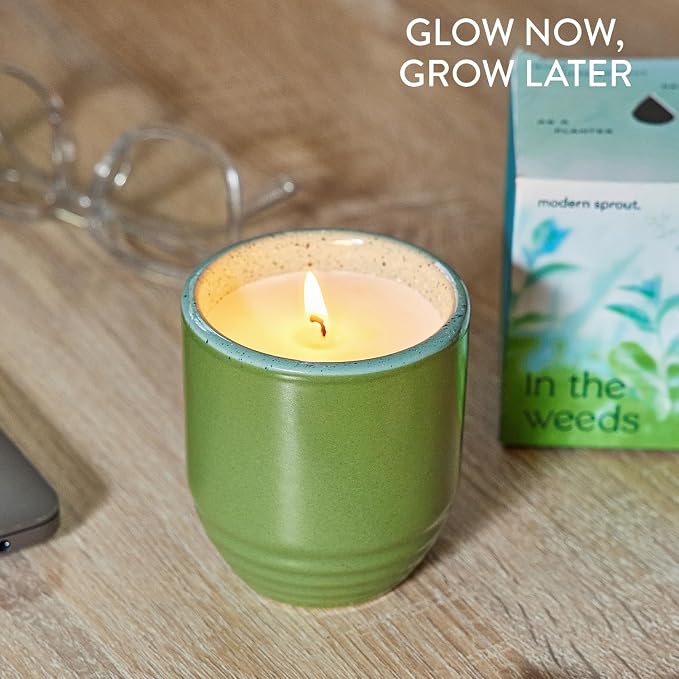 Modern Sprout Garden Vibes - 6 Oz Soy Candle Planter- in the Weeds - 2-Pack | 2 in 1 Soy Candles- 6 oz w/40-hr Burn - Eucalyptus, Pink Pepper, Patchouli, Citrus- Reusable Ceramic Vessel as a Mint Planter