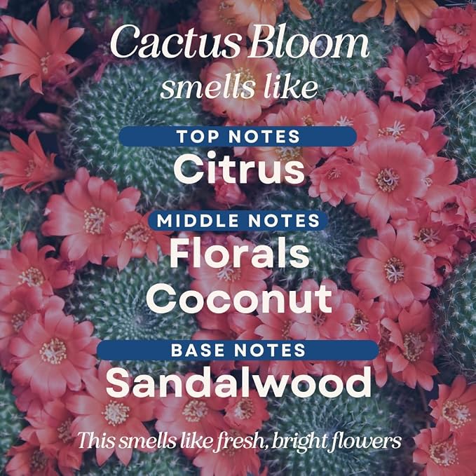 CANDECraftCo 4 Fl oz Fragrance Oils for Aromatherapy, Essential Oils for Home Diffusers, DIY Candle and Soap Making, DIY Scented Products (Cactus Bloom)