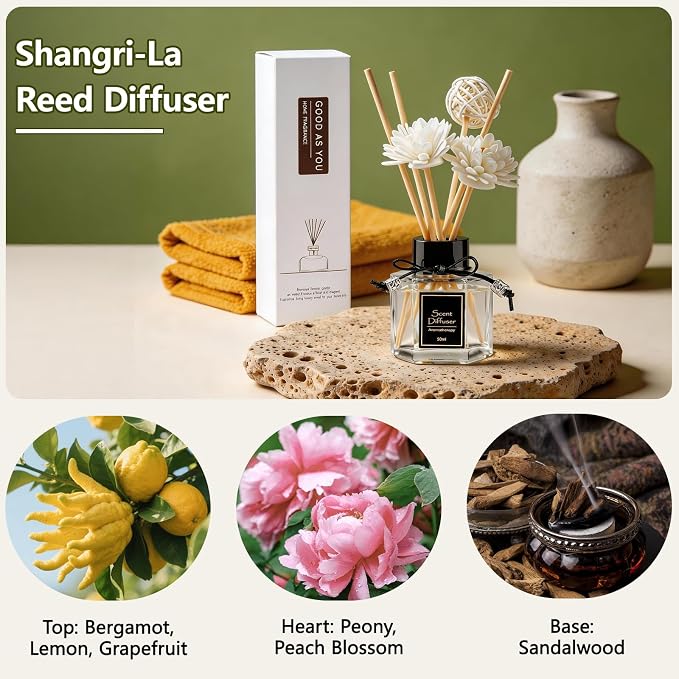 Shangri-La Reed Diffuser 1.7 fl oz | Long-Lasting Natural Home Fragrance | Non-Toxic Essential Oil with 6 Scent Sticks for Bathroom, Bedroom & Living Room | Plant-Based Air Freshener
