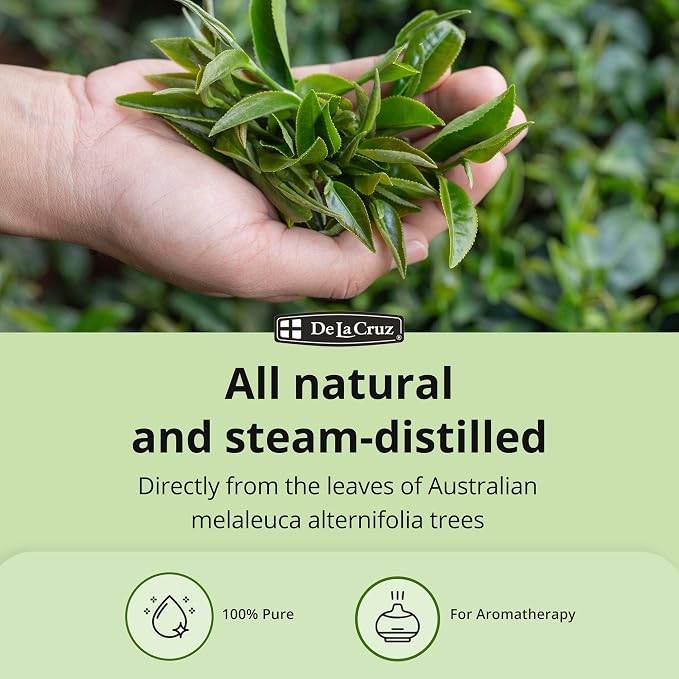 De La Cruz 100% Pure Australian Tea Tree Essential Oil - Steam Distilled for Aromatherapy - 1 FL OZ (3 Bottles)