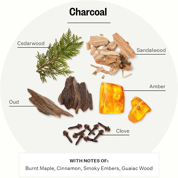 Apotheke Luxury Scented Reed Diffuser for Home, Charcoal - 6.7 Fl Oz Essential Oil Aromatherapy - 10 Rattan Scent Sticks Room Diffuser - Long-Lasting Fragrance for Bedroom, Home, Bathroom