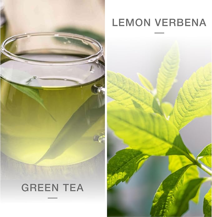 Biogreen Refill for Reed Diffuser – Green Tea & Lemon Verbena – 3.38 fl oz