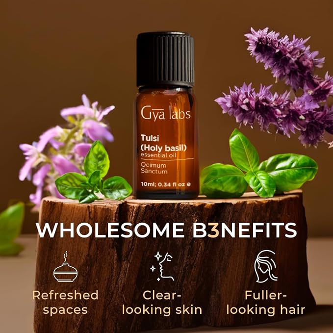 100% Pure Holy Basil (Tulsi) Essential Oil - 0.34 Fl Oz - Holy Basil (Tulsi) Oil for Hair, Skin, Diffuser, Aromatherapy & DIY Candle Making Scent