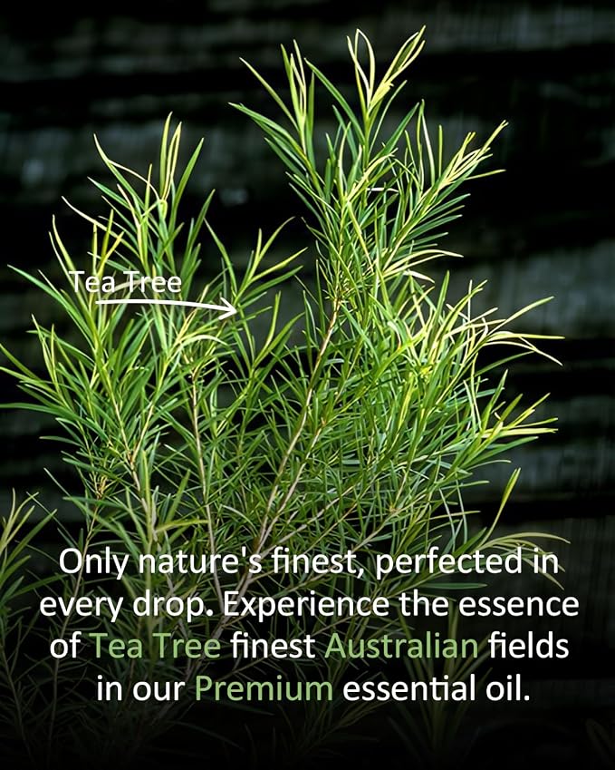 Tea Tree Essential Oil 4 fl oz – 100% Pure Melaleuca Oil for Diffuser, Home Cleaning, Laundry Freshener, DIY Soap & Candle Making – Large Size for Everyday Use