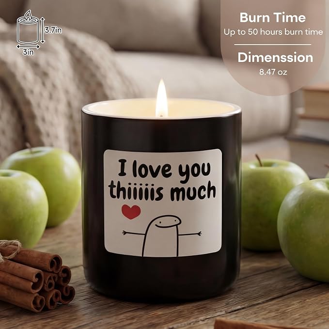 Jar Candles Gifts for Men Women, Apple Cinnamon Candles Aromatherapy Candle for Mom Girlfriends Lovers, Funny Candles for White Elephant Fathers Mothers Day Birthday Valentines