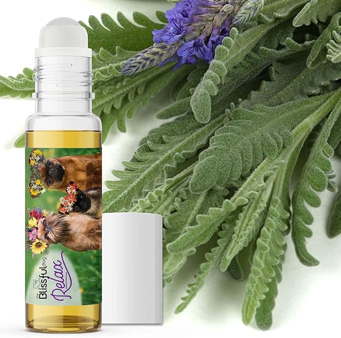 The Blissful Dog Brussels Griffon Dog Relax Roll-ON Aromatherapy for Dogs - Anxiety Relief for Dogs