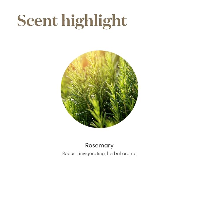 Rosemary Essential Oil by Young Living, 15 Milliliters, Topical and Aromatic