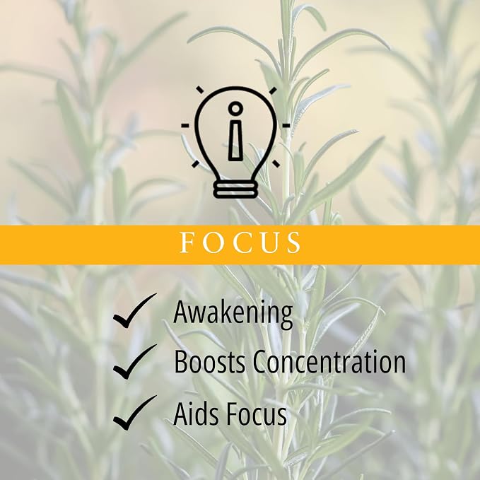Absolute Aromas Focus Aroma-Roll Roller Ball - Contains 100% Pure, Natural Rosemary, Basil, Bergamot Essential Oil