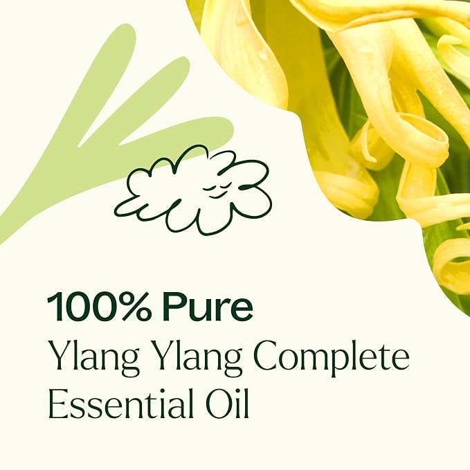 Plant Therapy Ylang Ylang Complete Essential Oil, 10 mL (1/3 oz), 100% Pure and Undiluted, Natural Aromatherapy, for Essential Oil Diffusers and DIY Skin Care