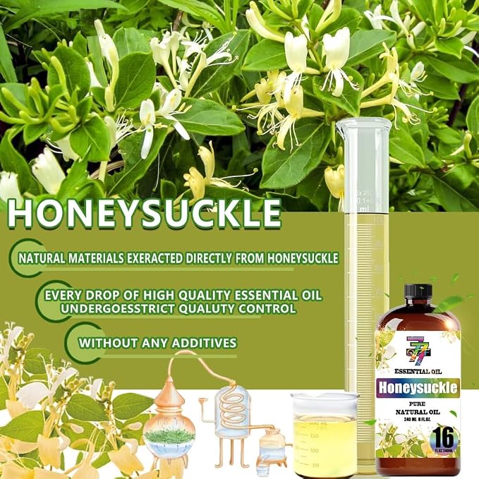 Honeysuckle Essential Oil, Honeysuckle Oils, for Diffuser, DIY Candles, Soap, Humidifier, Home, Yoga, Massage, Gift, Essential Oil, GV77ZF Honeysuckle Fragrance Oil - 16 fl oz (480 ml)