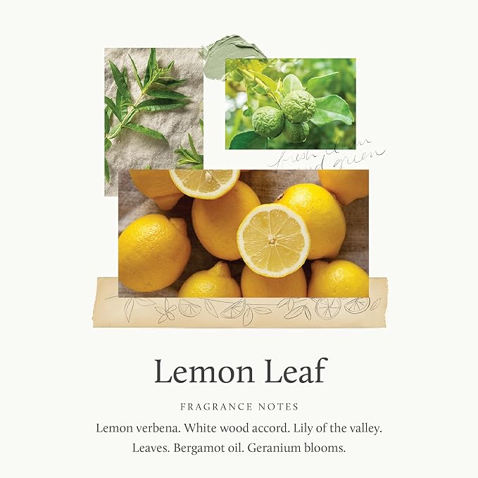 Thymes Pura Refills – 2 Pack of Oil Diffuser Scents, Long-Lasting Diffuser Refills, Premium Home Fragrance, Citrus Notes of Lemon Verbena, Dewey Leaves & Bergamot (Lime Leaf, Pack of 2)