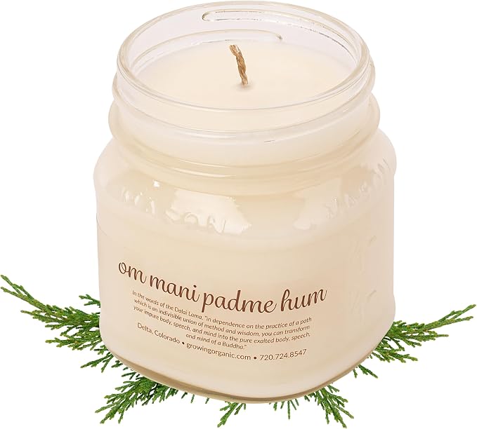 Meditation Soy Wax Candle, Relaxing and Banishing Negative Energy, Non-Toxic Handpoured Glass Jar Candle - Clean Burning, Long Lasting, Candles for Home, Fragrance (Sandalwood + Cypress)