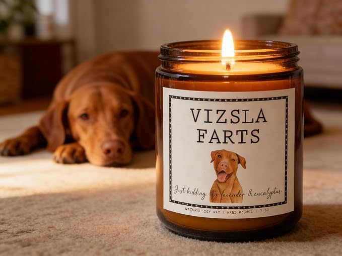 Smells Like Vizsla Farts Candle - Vizsla Gifts & Decor, Dog Mom Gifts - Lavender & Eucalyptus Soy Wax Scented Candle, 50Hr Burn