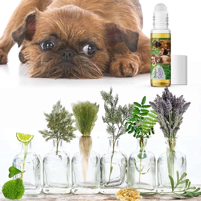 The Blissful Dog Brussels Griffon Dog Relax Roll-ON Aromatherapy for Dogs - Anxiety Relief for Dogs
