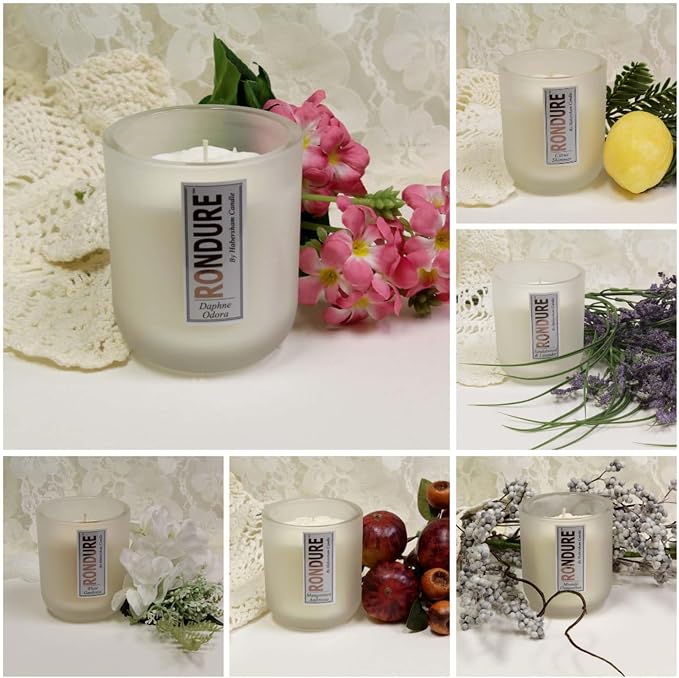 Habersham Rondure Candle – Daphne Odora Scented Candle, Up to 55 Hours Burn Time, Authentic and Long Lasting Fragrance, Soy Blend Wax, 9.5 oz Glass Jar Candle