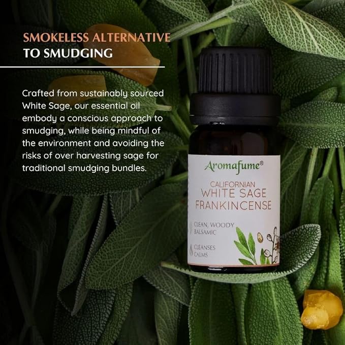 White Sage & Frankincense Essential Oil Diffuser Blend by Aromafume | 3x10ml/0.33 fl oz | Aromatherapy oil for cleansing negative energy, protection | Ethically sourced sage oil for smokeless smudging