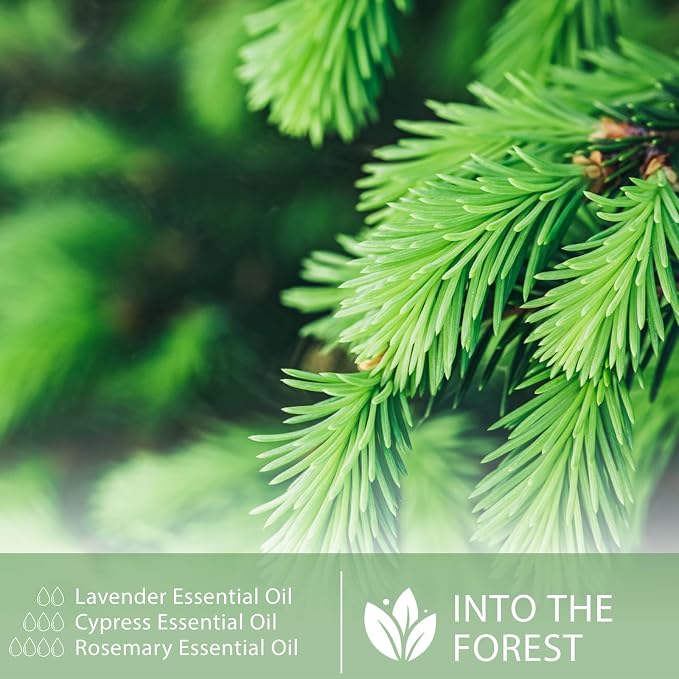 Pine Needles Essential Oil, 1.01Fl.Oz (30ML) PHATOIL Pure Essential Oil Singles for Aromatherapy Diffusers, Humidifiers, Great for DIY Candle and Soap Making, Gift for Friend