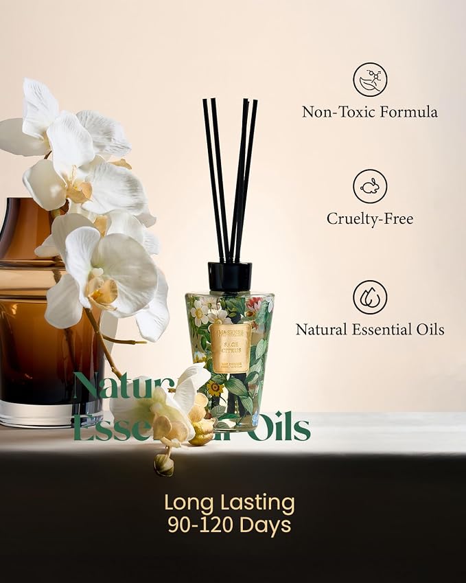 M&SENSE Sage Citrus Reed Diffuser Set - 8.79fl oz Home Fragrance Non-Toxic Essential Oil Diffuser with Sticks, Air Freshner Gifts with Long Lasting Fragrance