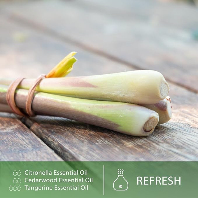 Citronella Essential Oil 1.01fl.oz/30ml, PHATOIL Premium Citronella Oils Long Lasting Scents for Aromatherapy, Diffuser, DIY Soap and Candle Making