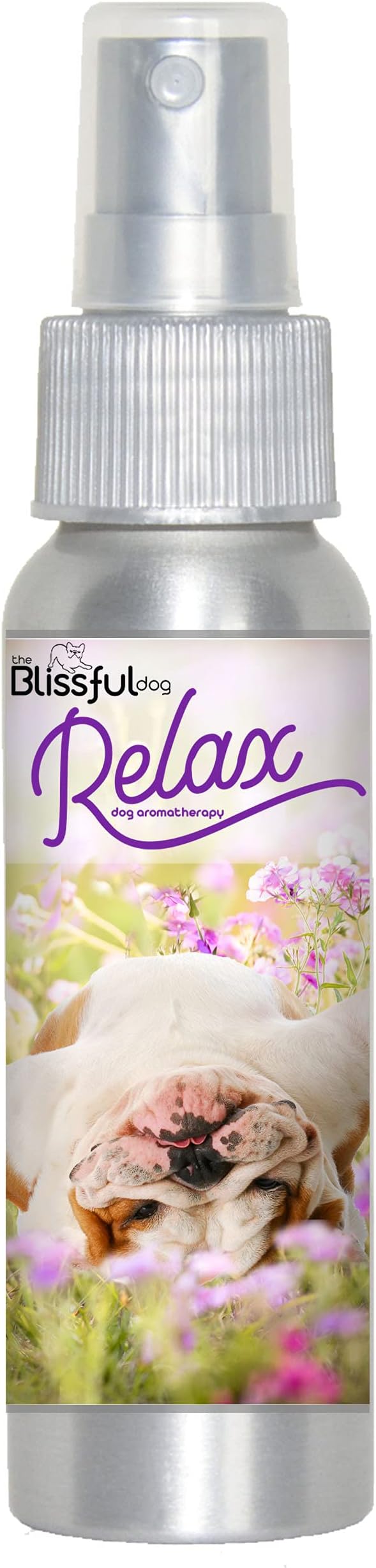 The Blissful Dog Bulldog Relax Aromatherapy Spray for Your Dog's Anxiety