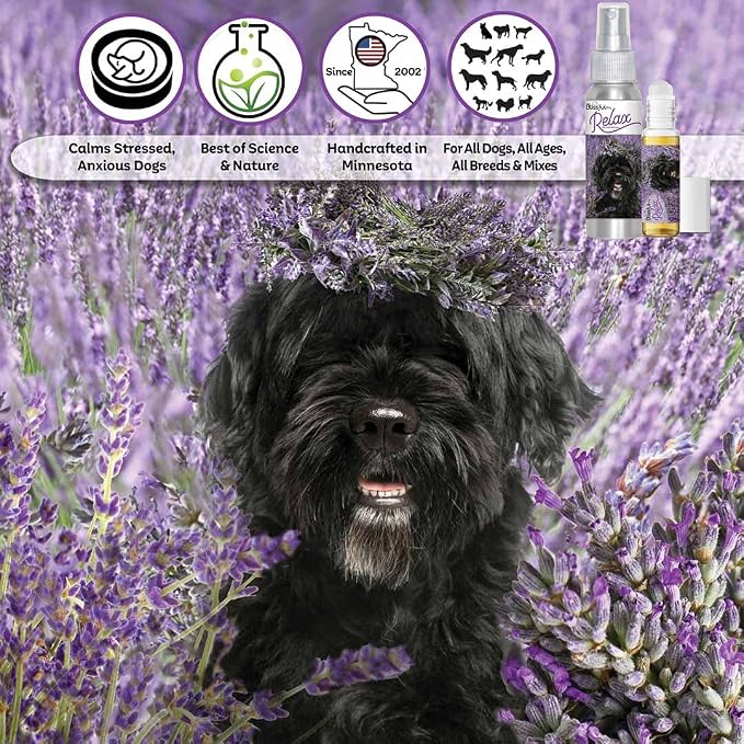 The Blissful Dog Portuguese Water Dog Relax Aromatherapy Spray for Your Dog's Anxiety